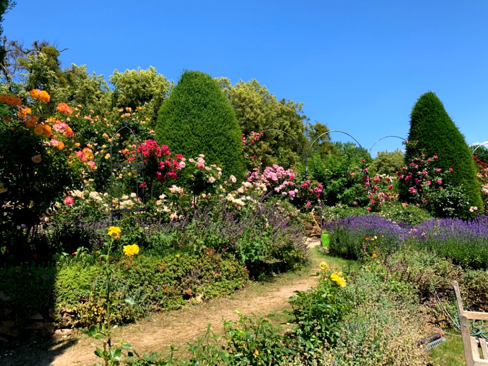 Hadamar, Rosengarten (5)
