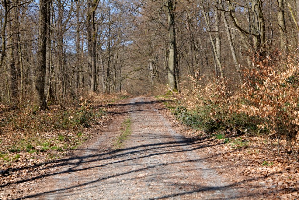 Haderweg Taunus 2020-03-25 07