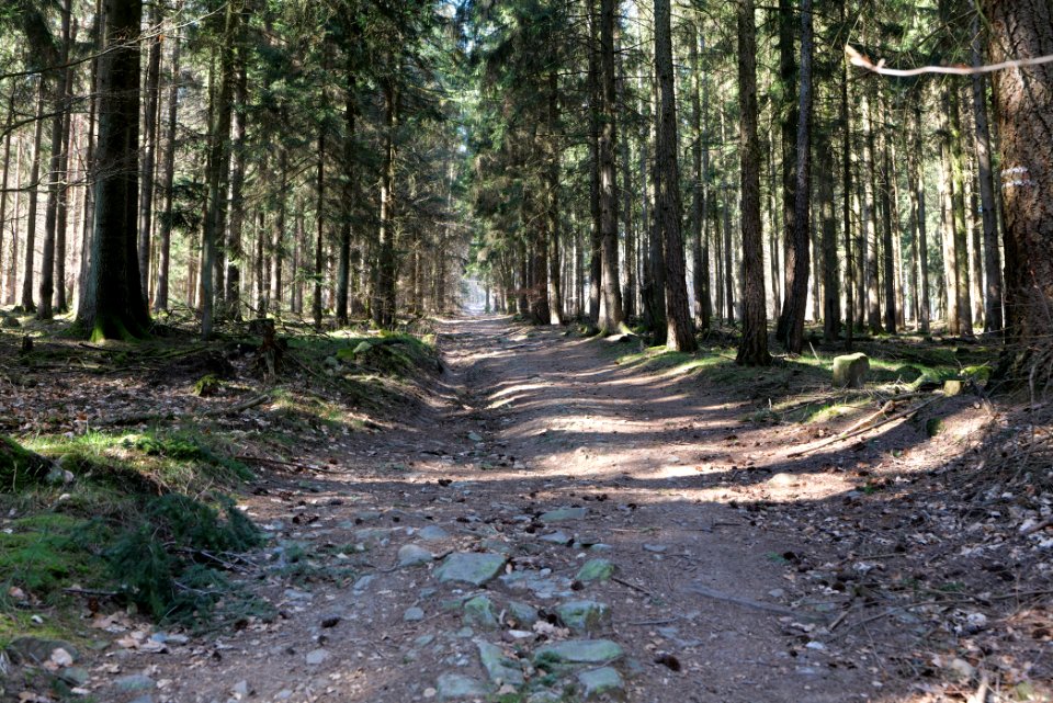 Haderweg Taunus 2020-03-25 20
