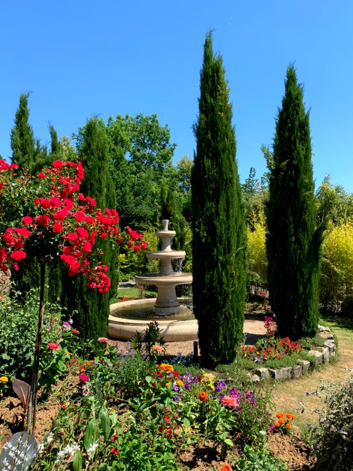 Hadamar, Rosengarten (6)