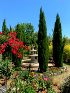 Hadamar, Rosengarten (6)