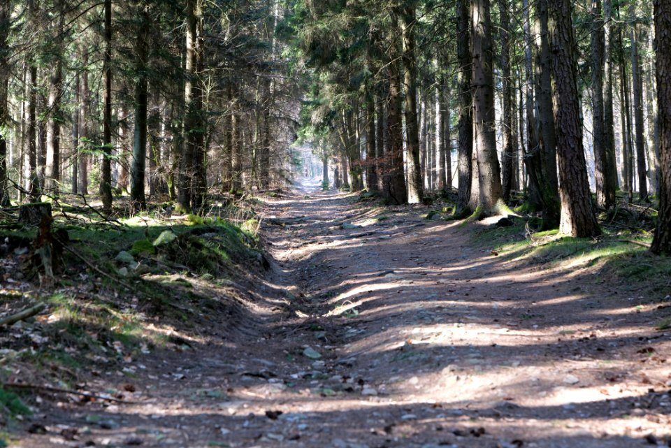 Haderweg Taunus 2020-03-25 19