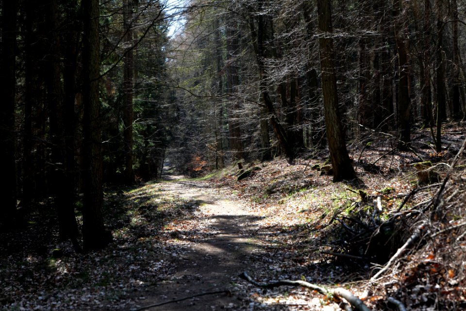 Haderweg Taunus 2020-03-25 21