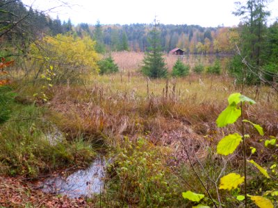 Hackensee 4