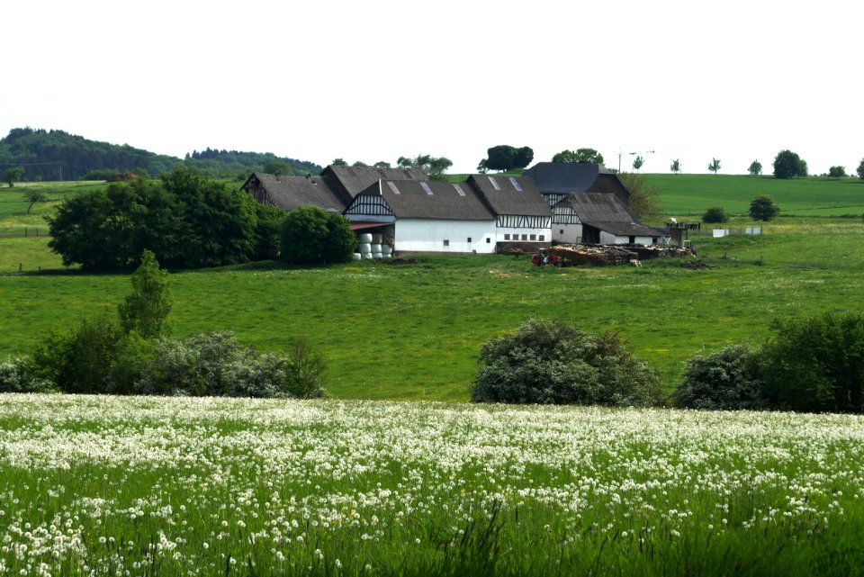 Haertlingen Witzelbach