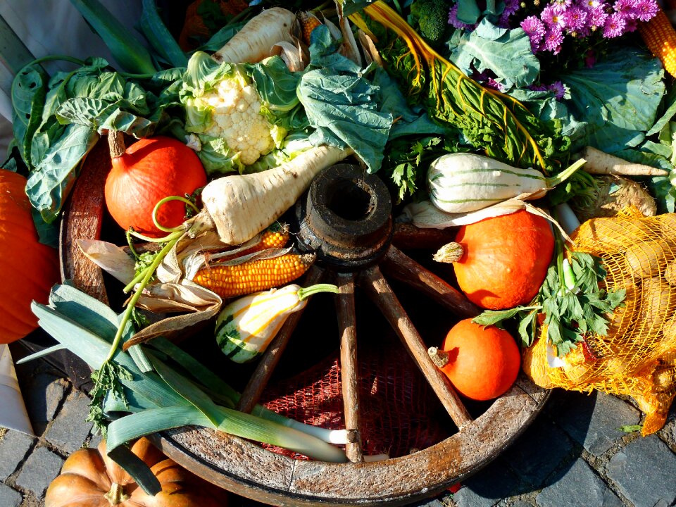Healthy food potatoes