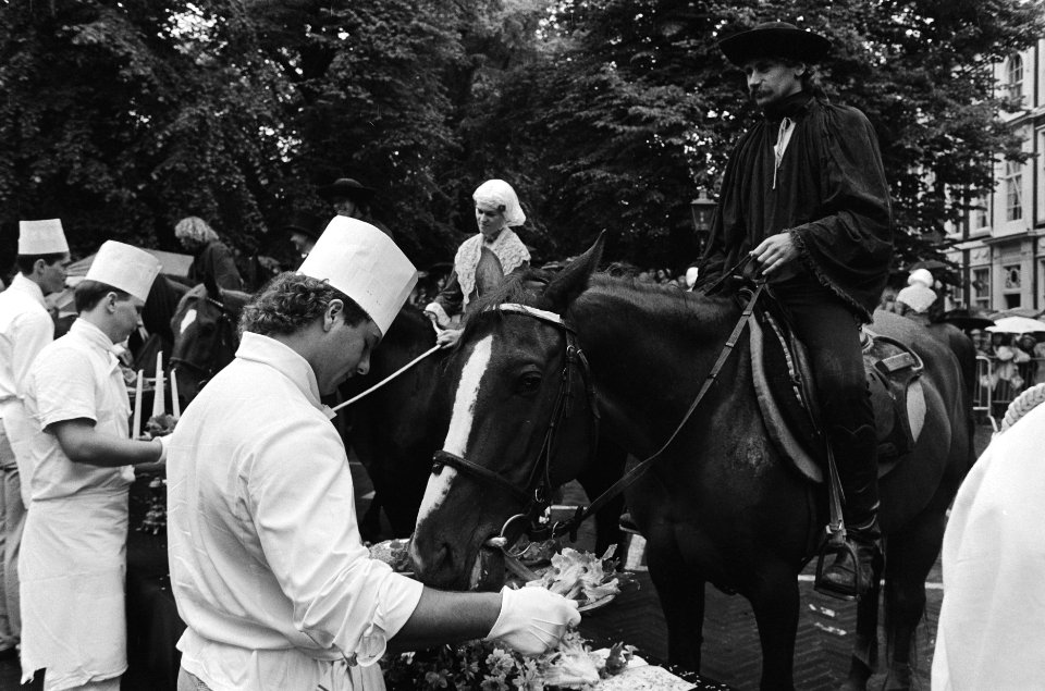 Haagsche Paardendagen dejeuner voor de paarden bij Hotel des Indes, Bestanddeelnr 933-3599