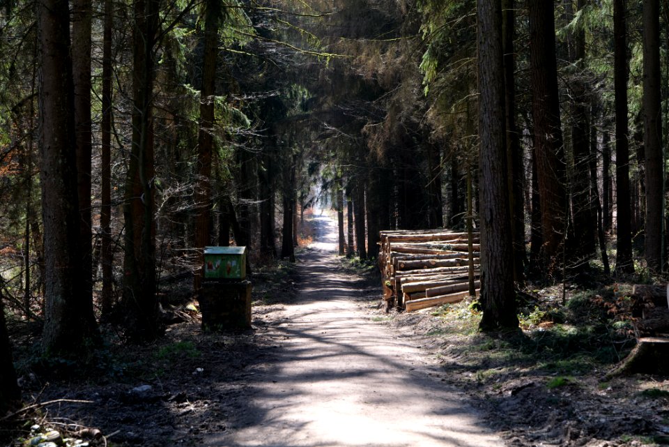 Haderweg Taunus 2020-03-25 09