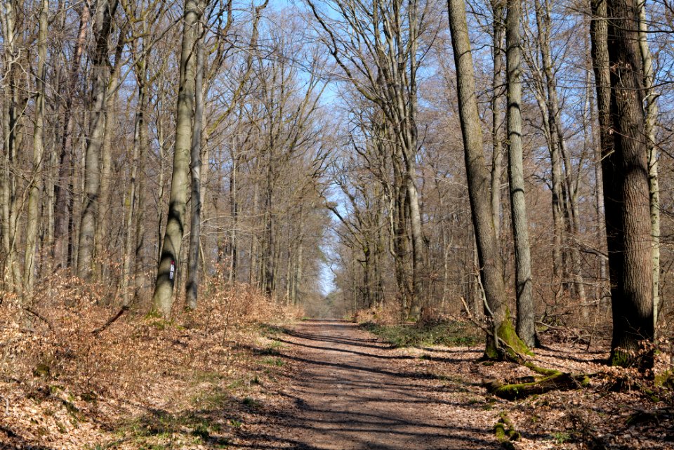 Haderweg Taunus 2020-03-25 05