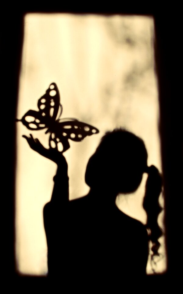 Butterfly silhouette window
