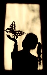 Butterfly silhouette window