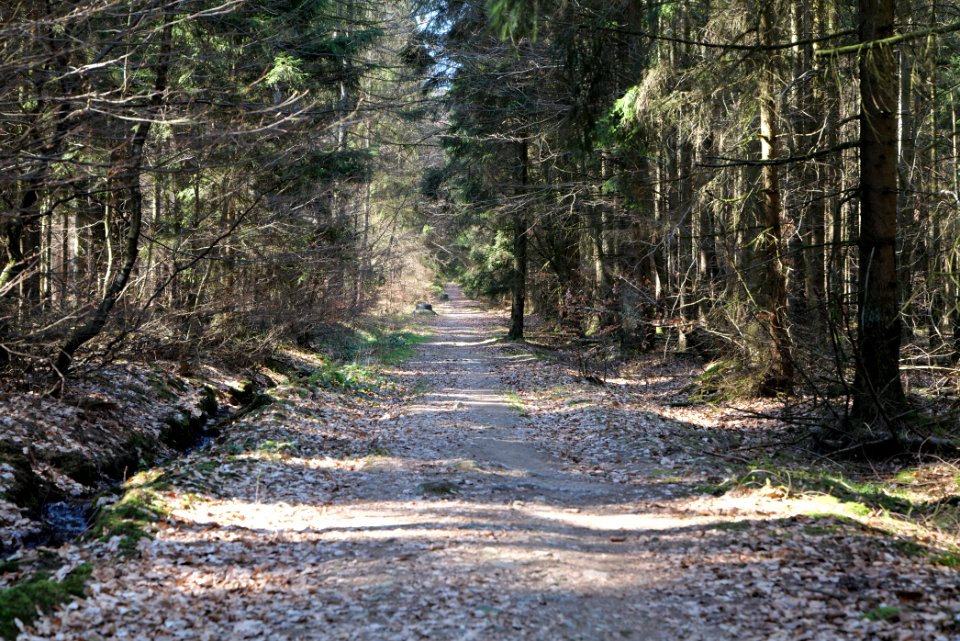 Haderweg Taunus 2020-03-25 17