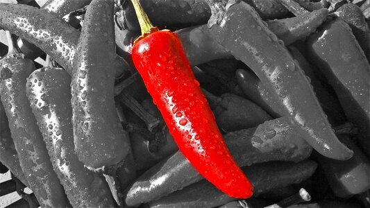 Hot spice fiery photo