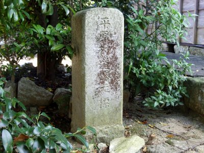 Hadzu Hirahara Vil km zero