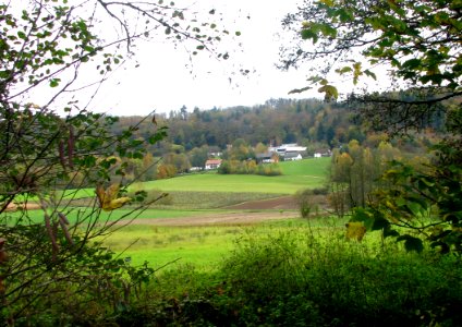 Haimburg (Berg NM)