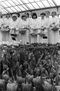 Haarlemse bloemenmeisjes op de Keukenhof, Bestanddeelnr 930-1912