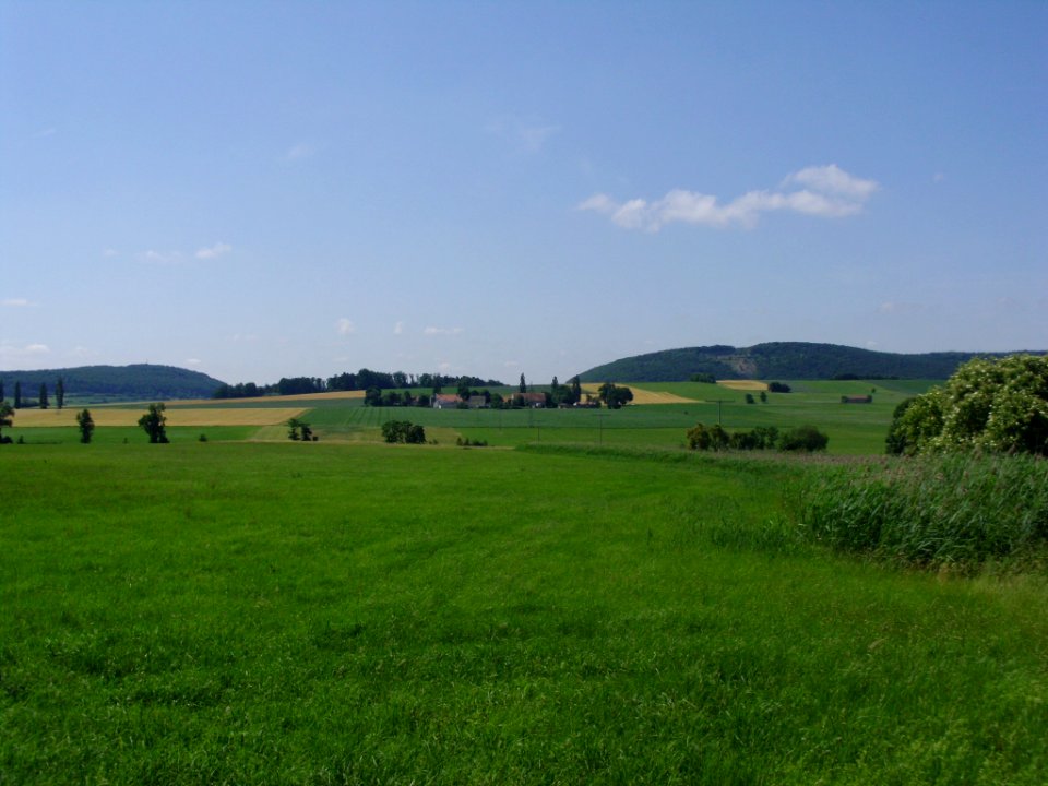 Hagenau 2012-06-19 (3)