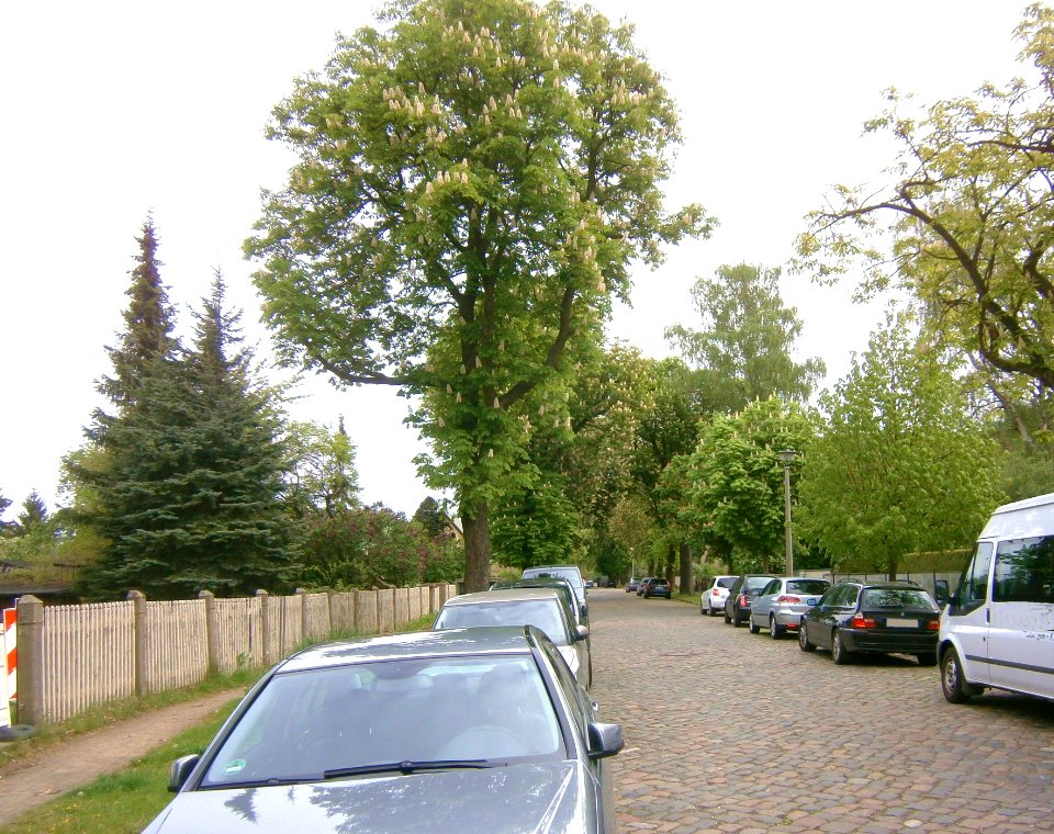 HagenstrKarow-S