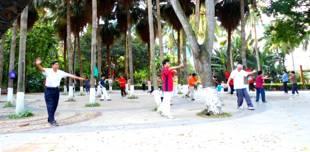 Haikou People's Park - people practicing t'ai chi ch'uan (tai chi) - 01 photo