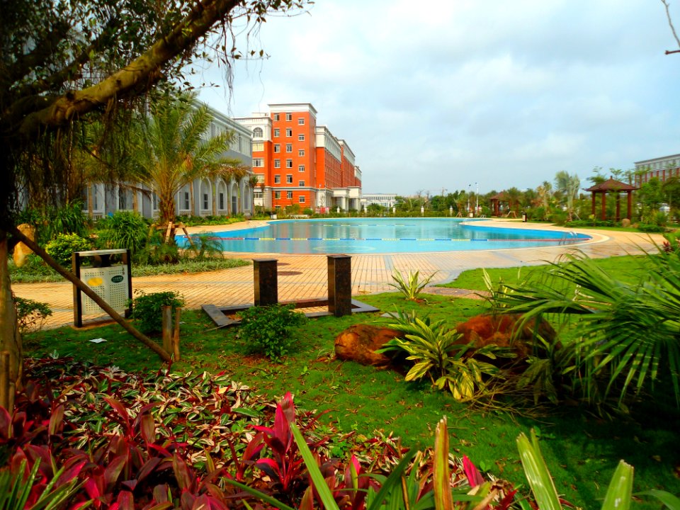 Haikou College of Economics - swimming pool 02