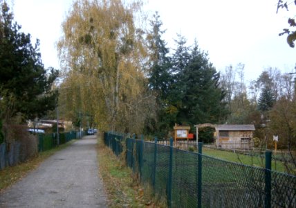 HakenfeldeBernkastlerWeg2