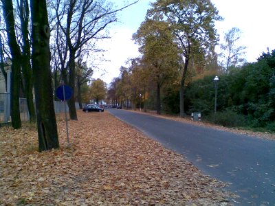 Hakenfelde Goltzstraße