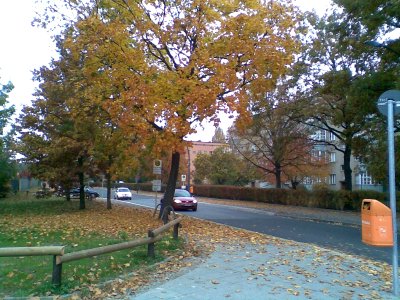 Hakenfelde Mertensstraße