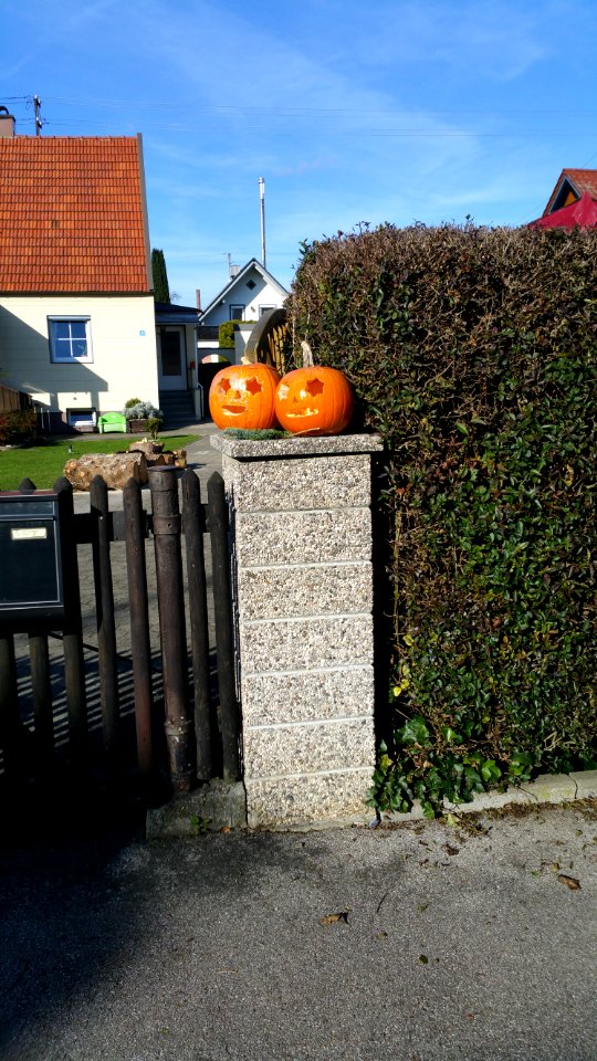 Halloweenkürbisse in Ettringen