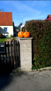 Halloweenkürbisse in Ettringen