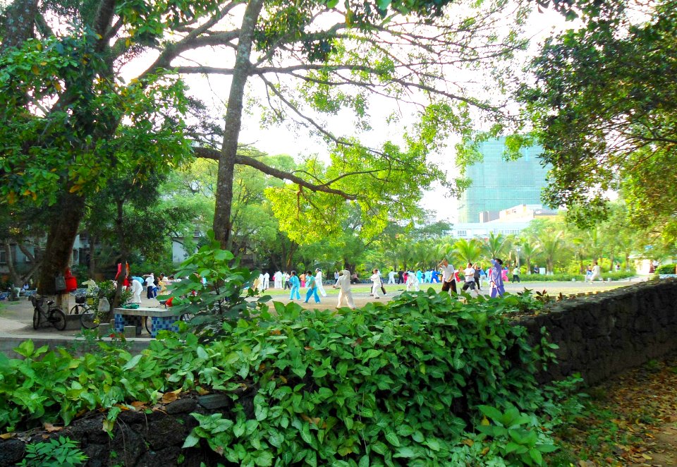 Haikou People's Park - people practicing t'ai chi ch'uan (tai chi) - 06