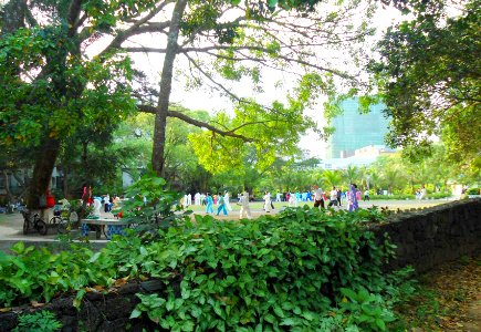 Haikou People's Park - people practicing t'ai chi ch'uan (tai chi) - 06