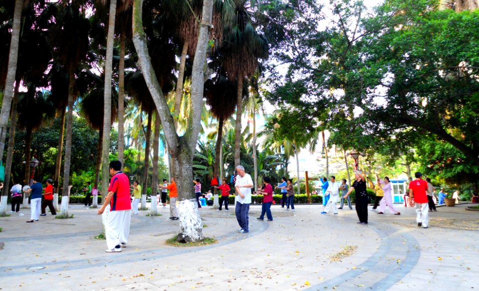 Haikou People's Park - people practicing t'ai chi ch'uan (tai chi) - 02 photo