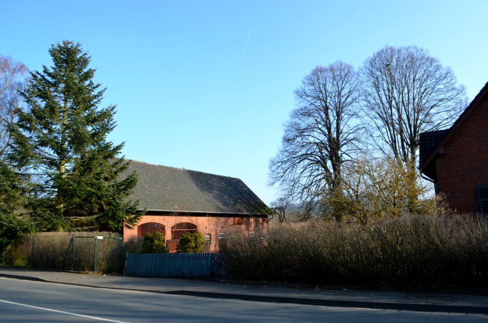 Hahn, Scheidertalstraße 55 (2)