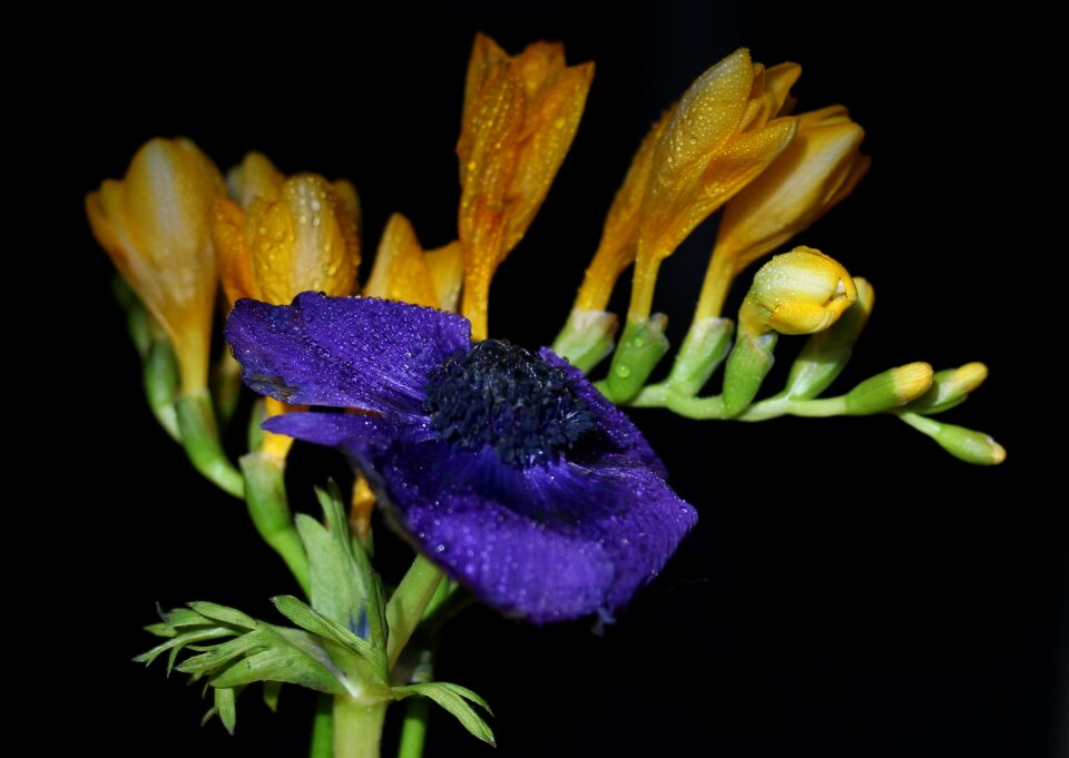 Flower drops bouquet