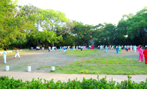 Haikou People's Park - people practicing t'ai chi ch'uan (tai chi) - 05