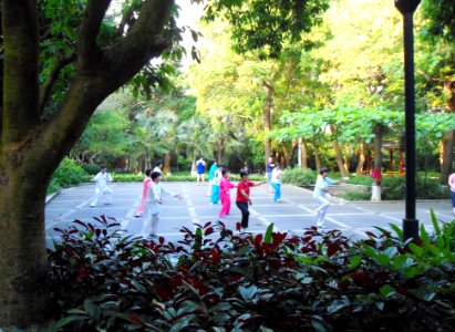 Haikou People's Park - people practicing t'ai chi ch'uan (tai chi) - 03