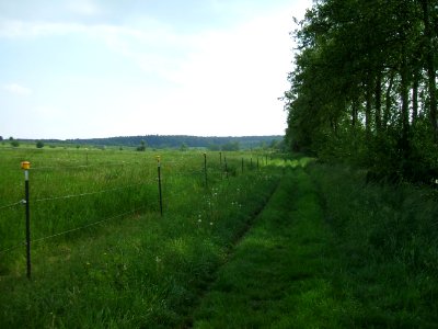 Hainbach Blick aufwärts km 1 rechts