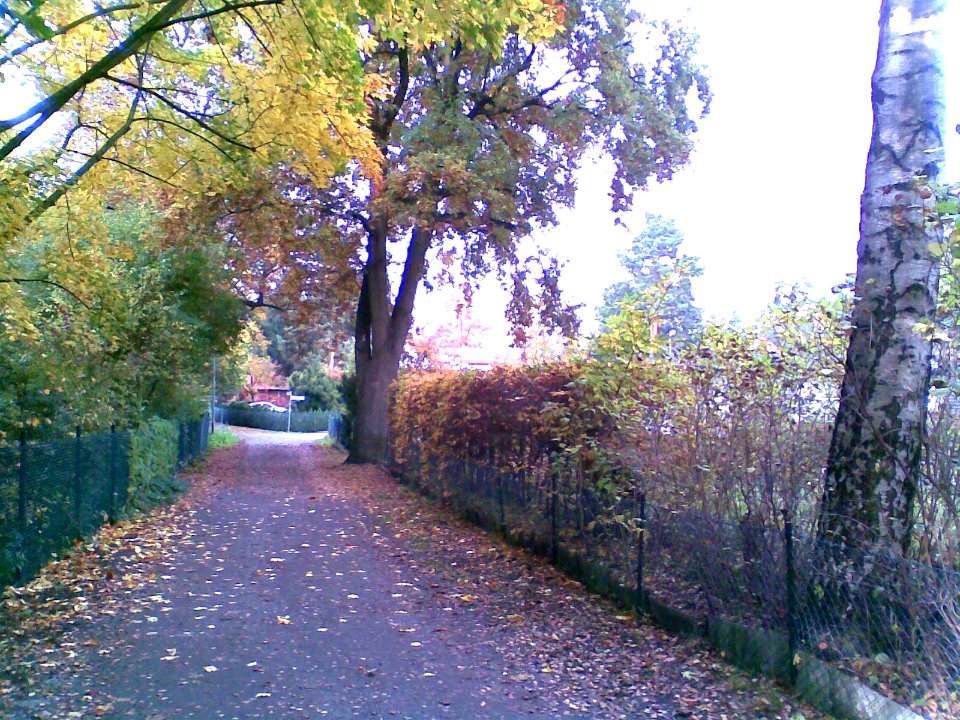 Hakenfelde ImHaselluch