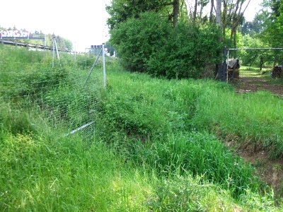 Hainbach Graben an A 5