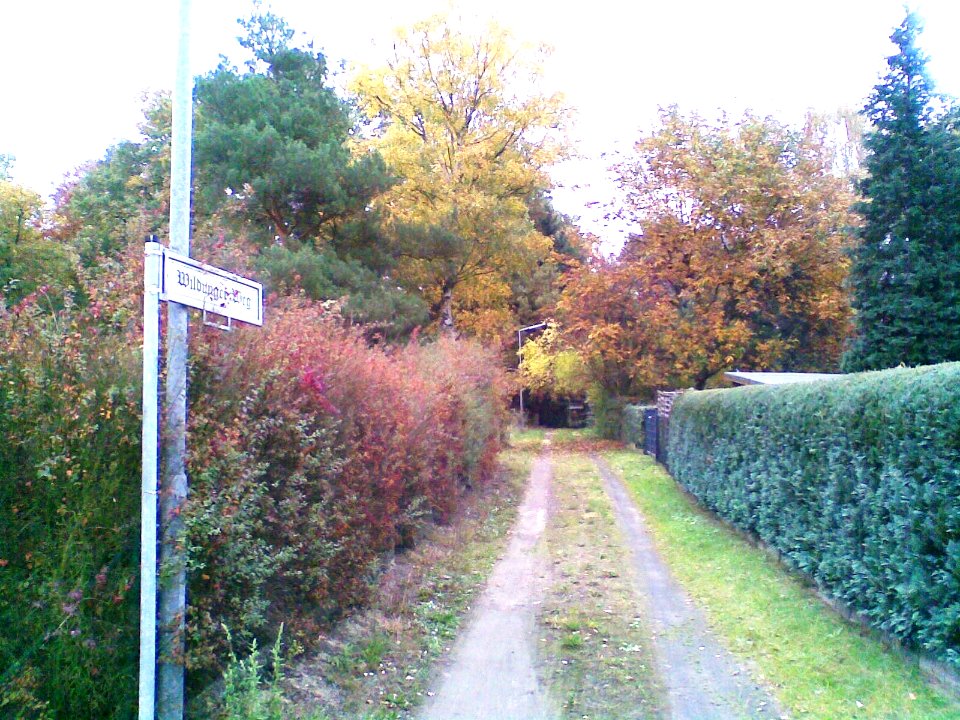 Hakenfelde WildungerWeg