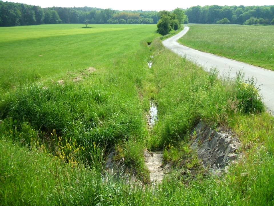 Hainbach Zufluss asphaltierter Weg km 1,9