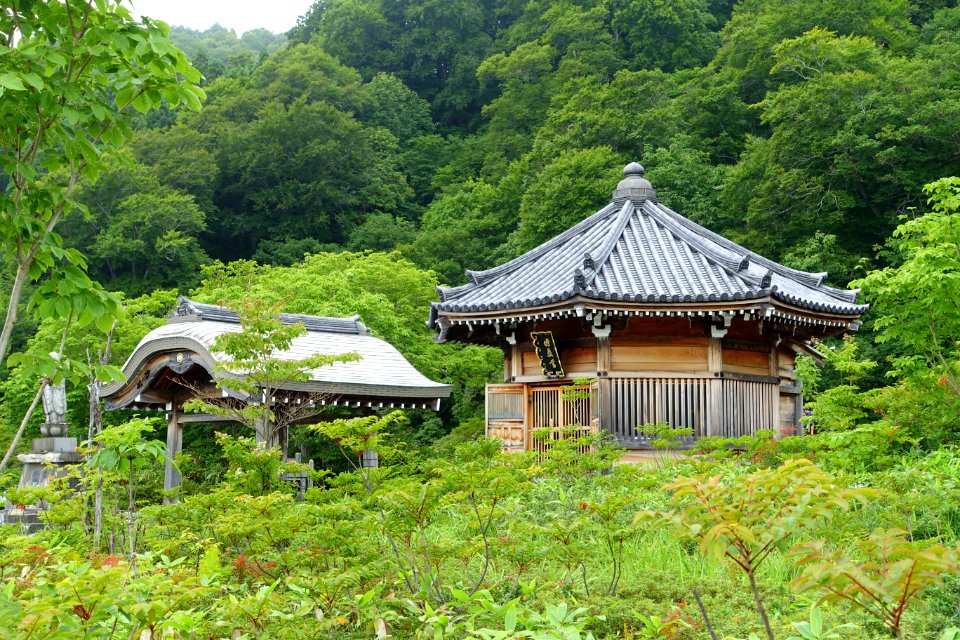 Hakkaku Endo - Mount Osore - Mutsu, Aomori - DSC00579