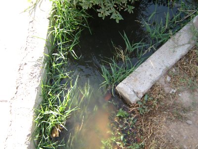 Hakim Hospital of Nishapur - sike of Green space 28