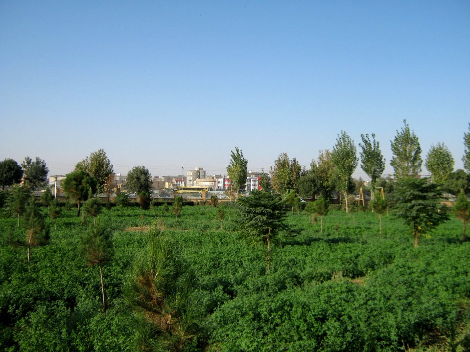 Hakim Hospital of Nishapur - Green spaces and Flowers 02