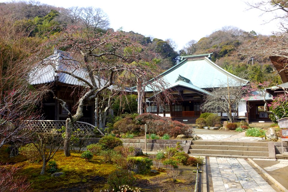 Halls - Kaizo-ji - Kamakura, Kanagawa, Japan - DSC08207