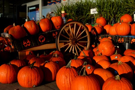 HalloweenPumpkin