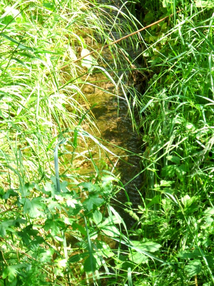Hainbach sohlbefestigt mit Wasser an Siedlungsgrenze