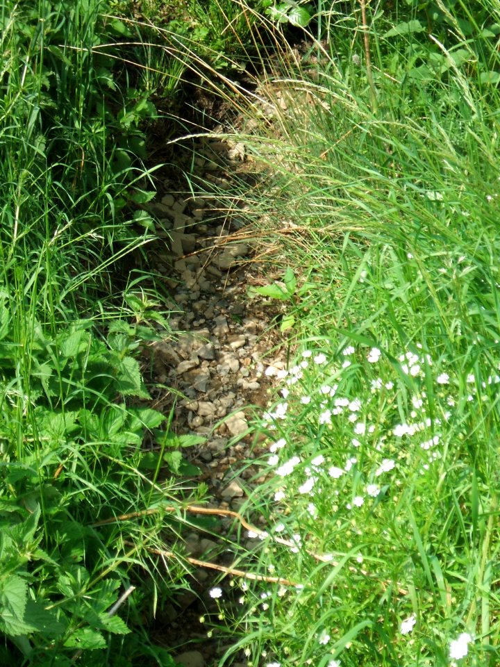 Hainbach sohlbefestigt ohne Wasser oberhalb B 275