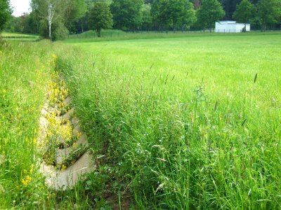 Hainbach Ende Halbschalen km 2,1