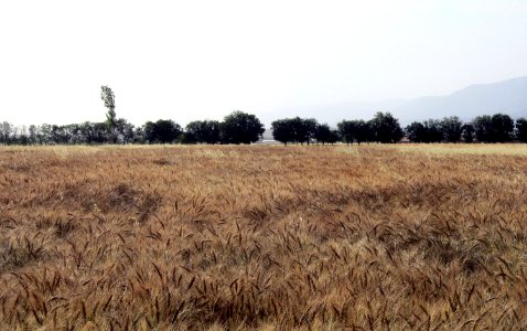Hajjiabad, Zeberkhan, Nishapur - nature 3